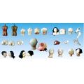 /msite/products/detail/productid/65609928/id/1517769.html