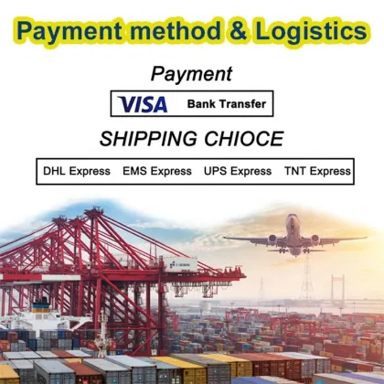 Electrolux Filter Packaging: 13x10cm Individual Plastic Bag