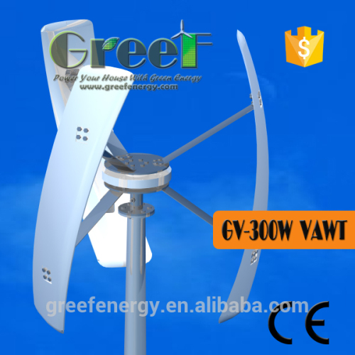 Sale well 300w vertical axis wind turbine generator with low start speed used for home, copper wire generator for wind turbine