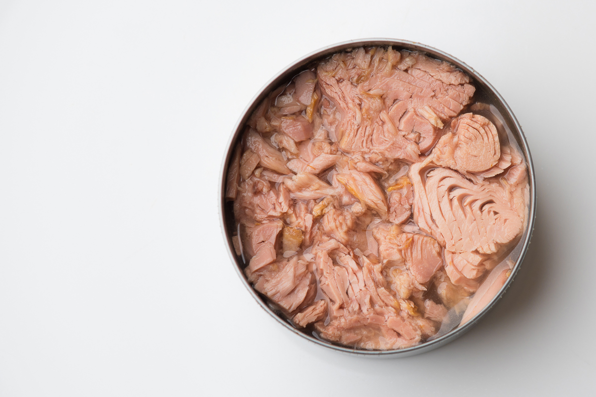 Canned Tuna Chunk in Brine