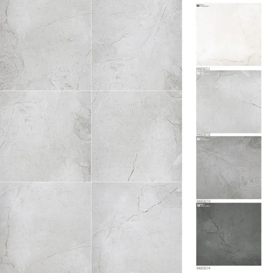 Ceramic Floor Tiles 60x60 Gery Cement 66EK02 for Bathroom