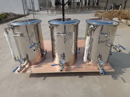 Nano Brewing Equipments/Beer Mash tun/Brew Kettle/HLT
