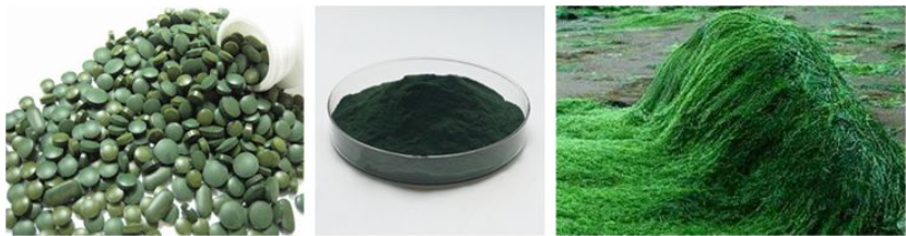 Spirulina Powder1