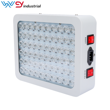 Neue 300W COB LED-Therapielampe 660nm &amp; 850nm
