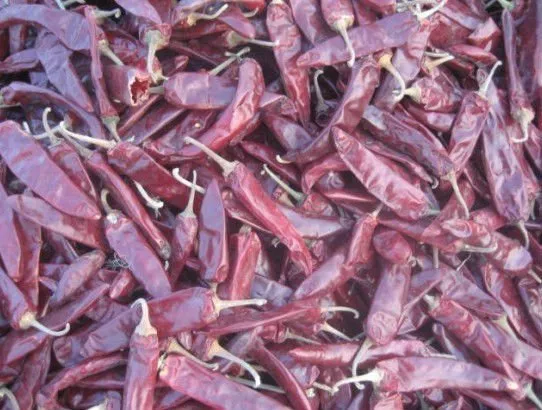 Dried Jinta Chilli