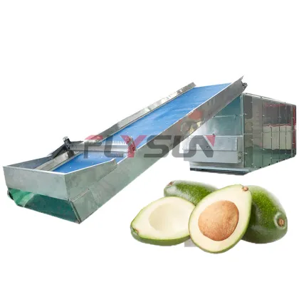 Industrial Fruit Dryer: Avocado, Mango, Grape, and Raisin Drying Machine