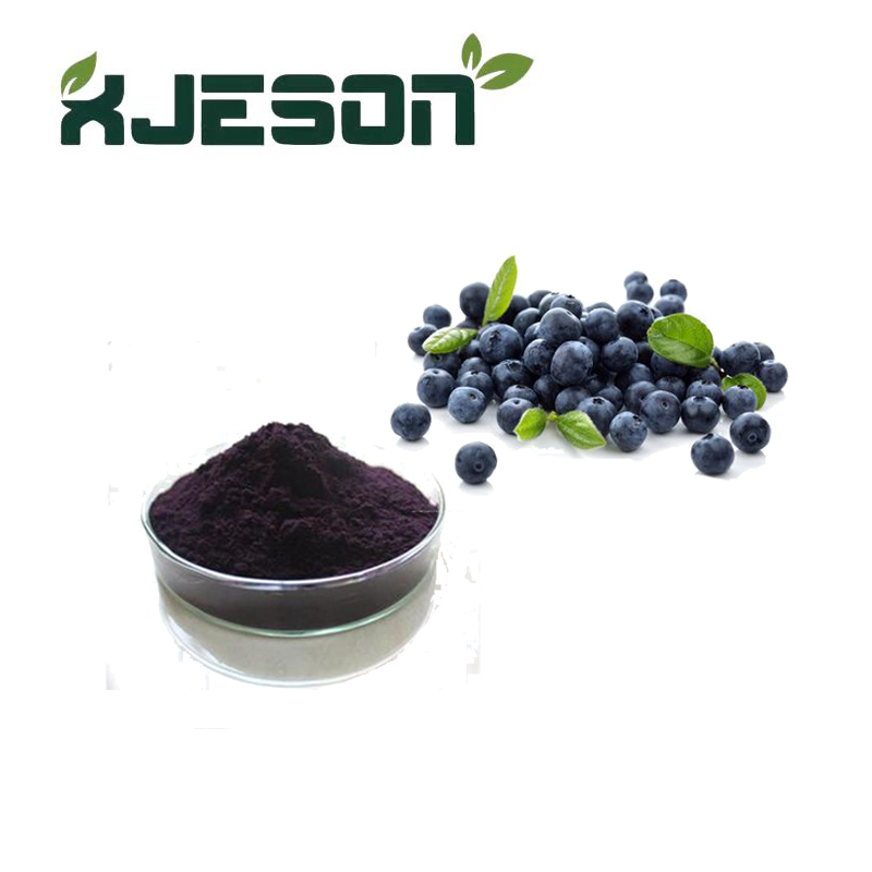 New Product Blueberry Extract Powder With Free Sample