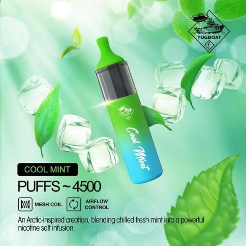 4500 Puffs Vape Device Tugboat Evo jetable