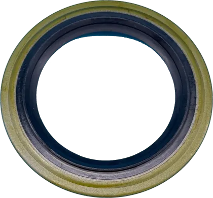 Rear Crankshaft Oil Seal