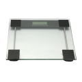 Brand Good Digital Scale Body Scale para baño