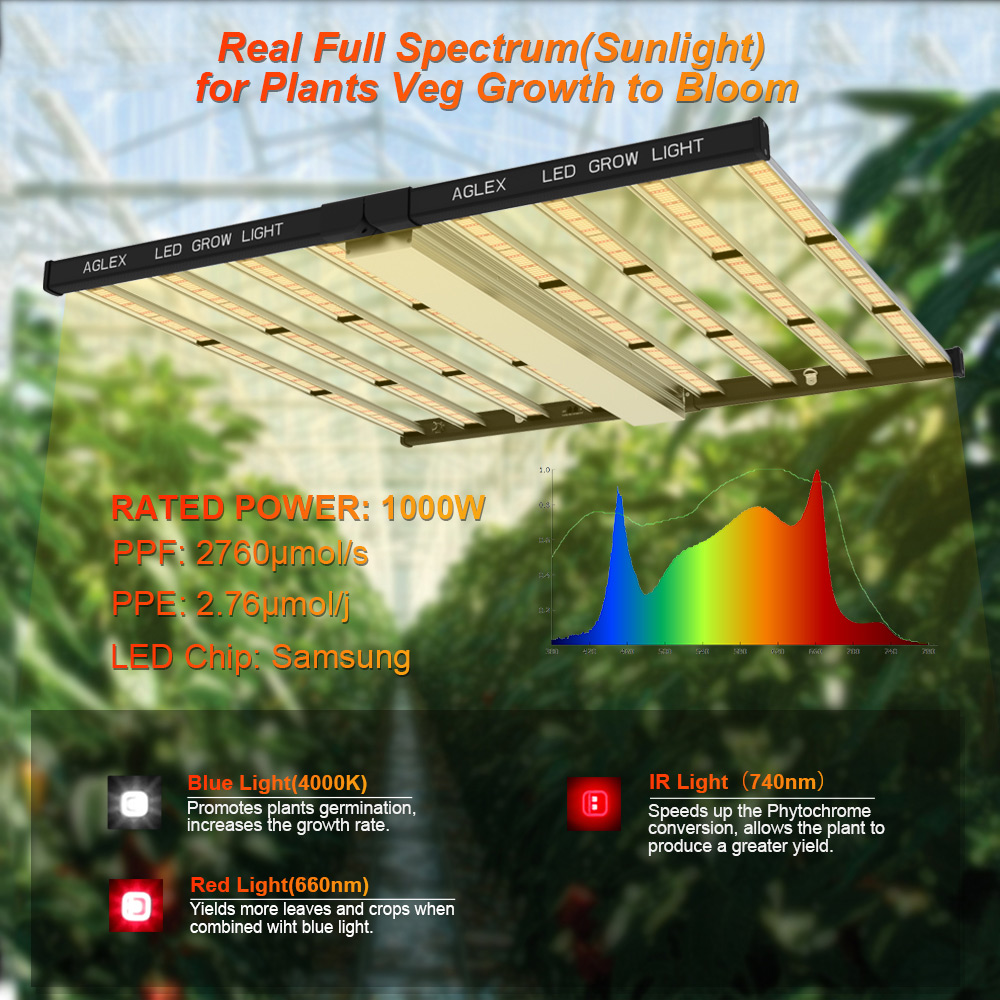 Hydroponics Greenhouse termurah 1000W dipimpin tanaman tumbuh lampu