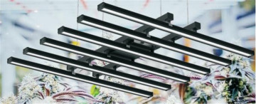led grow light espectro completo para la venta