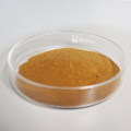 Rhodiola rosea extracto salidrosides rosavina en polvo a granel