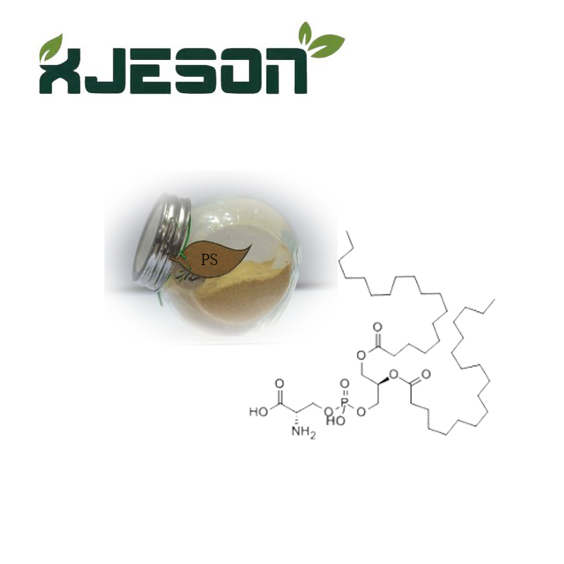 ผง phosphatidylserine คุณภาพสูง