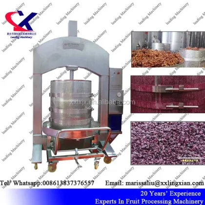 Wine Vertical Press: Advanced Technology Hydraulic Grape Press Machine
