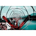 Galvanizado PVC Flat Concertina Razor Wire