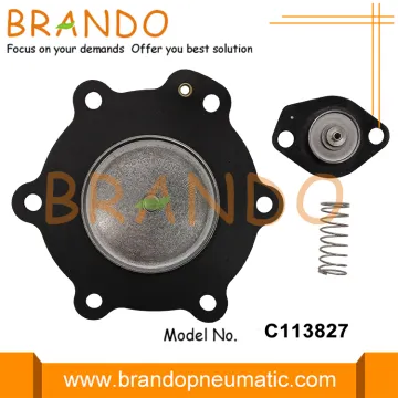 C113827 Diaphragm Kits For ASCO Pulse Valve SCG353A047