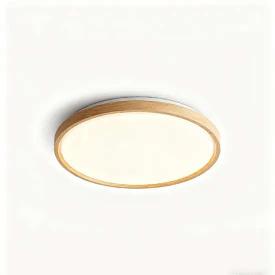 Elegant LED Ceiling Light with Bright Illumination