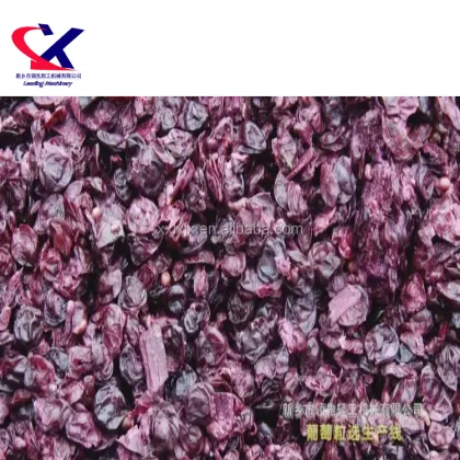 Wine Squeezing Machine: Specialized Winery Equipment for Grape Processing