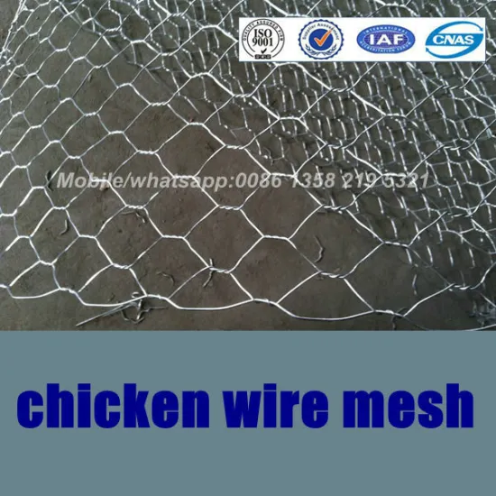 galvanized hexagonal wire mesh,lowest price chicken wire mesh,Galvanized Hexagonal chicken wire mesh