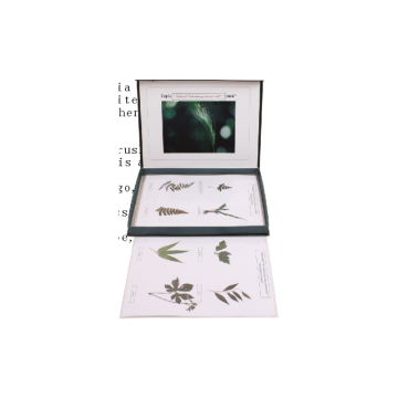 Classification and Types of Plants in Herbarium: An Overview of 50,209.08