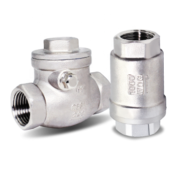 Sizes of 304 Stainless Steel Globe Valves and Check Valves
