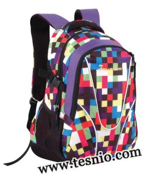 School Bag, College Backpack (Tesnio-YB1052)