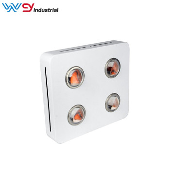 Grow light cob for hydroponic
