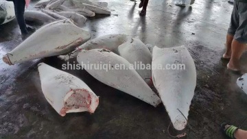 Ready stock frozen HGT Black Marlin 25kg up , HGT,100% NW