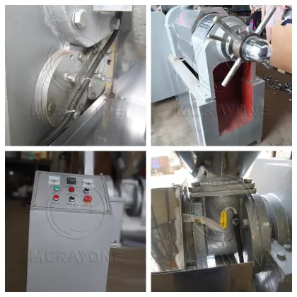 Commercial Oil Pressing Machinery: Castor Oil Press Plant and Oil Expeller Machine