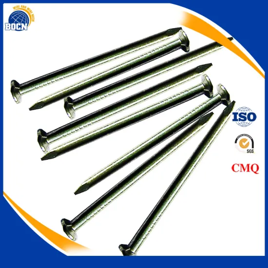 galvanized iron nail Common Nail price