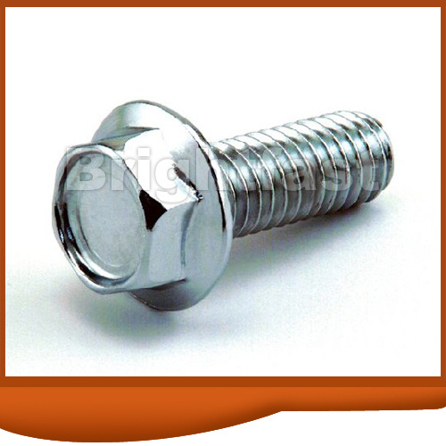 DIN6291 عرافة شفة الترباس مع محدب