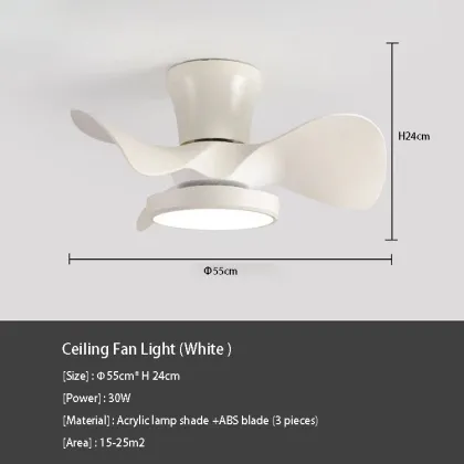 Customizable Modern Simple Children's Room and Restaurant Ceiling Fan Light