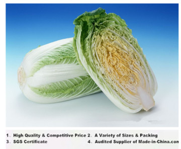 2014 Chinese Cabbage