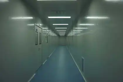 Mycoplasma Gallisepticum Vaccine, Inactivated