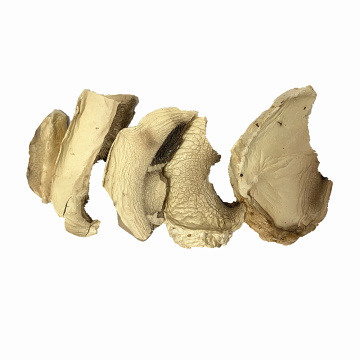 Champignon Dehydrated Button Mushroom Flakes