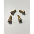 M8 PEEP Screws Fastener Hexagon Socket Screw Bolt