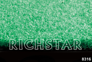Artificial Grass, Golf Turf, Decorative Grass (8316)