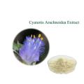 Cyanotis arachnoidea extract Ecdysone Ecdysterone powder
