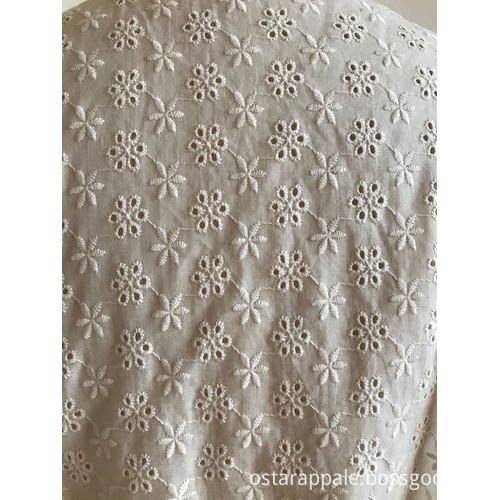 Ladies Blouse