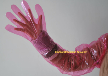 biodegradable compostable disposable plastic pe food handlng gloves, pac,iDisposable Transparent HDPE PE Plastic Gloves