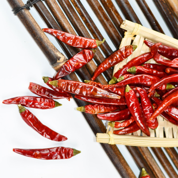 Babysbreath chili séché de chili saveur épicée sucrée