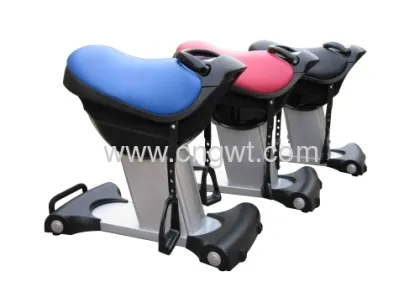 Automatic Horse Riding Machine 