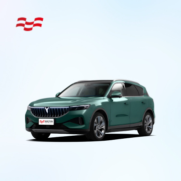2024 Dongfeng Voyah Süper Uzun Menzilli 4WD Electric SUV - Sıcak Satış