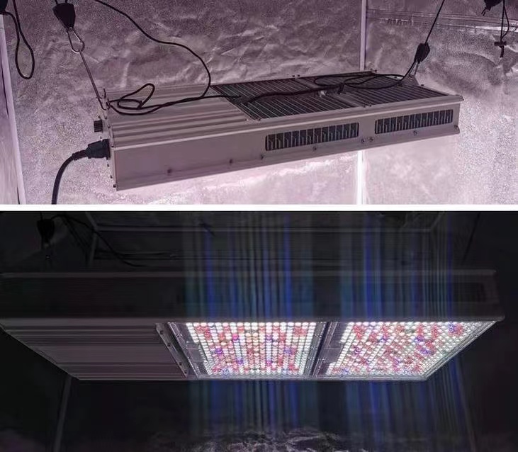 grow light 800w