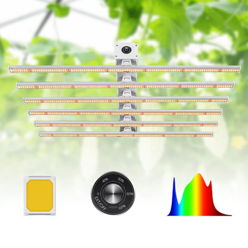 600 와트 LED 공장은 태국의 가벼운 성장합니다