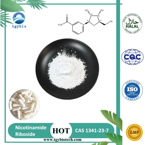 TGY Supply GMP 99% Ribosido de nicotinamida CAS 1341-23-7