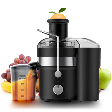 Beste aangepast logo Vertical Juicer 400W Home Fruit Juicer Manual