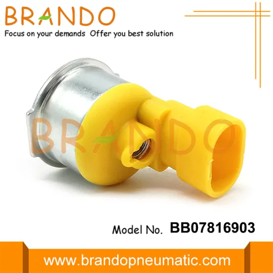 CNG IG6 IG7 Injector Rail Solenoid Coil DC12V