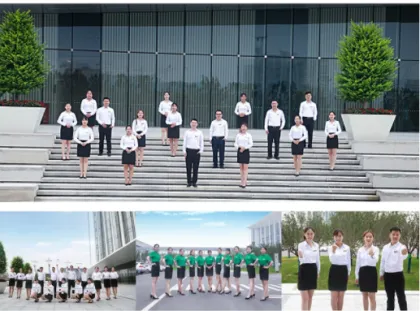 sell ephalotaxus fortune extract Powder Homoharringtonine